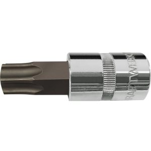 torx bittel