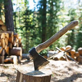 Erdészeti szerszámok